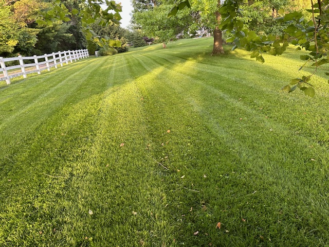 Professional Lawn Care & Landscaping in Central Ohio image14